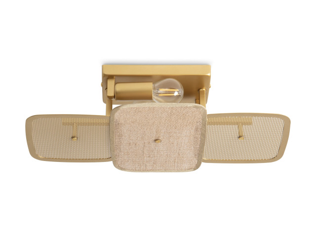 Потолочный светильник Freya FR5572CL-02G фото:5