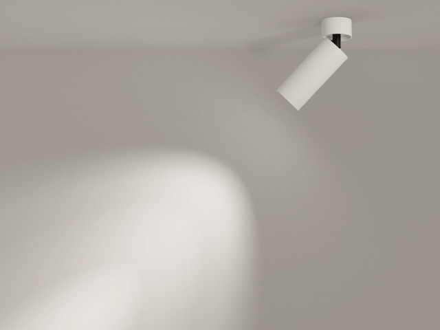 Потолочный светильник Technical C055CL-L12W4K-W-W фото:4