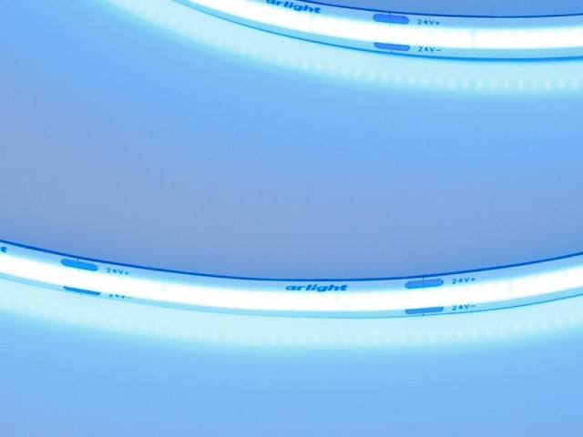 Лента COB-X480-8mm 24V Blue (8 W/m, IP20, 5m) (Arlight, -) фото:1