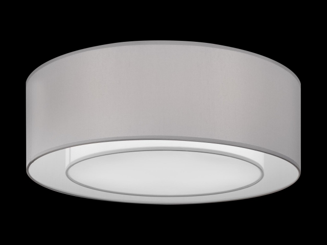 Потолочный светильник Maytoni MOD617CL-04GR фото:6