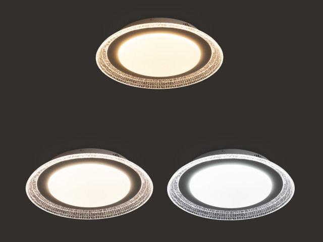Потолочный светильник Freya FR6243CL-L106W фото:3