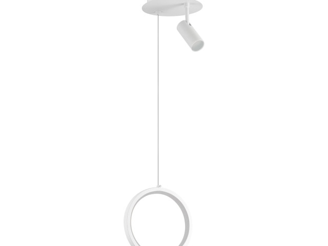 Подвесной светильник Freya FR6082PL-L10W фото:1