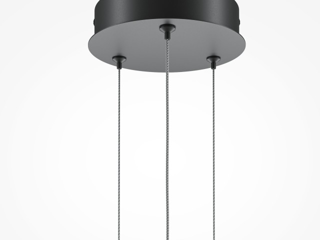 Подвесной светильник Maytoni MOD247PL-L49BK фото:4