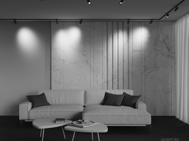 Трековый светильник Technical TR243-4-12WTW-DSZ-B фото:2