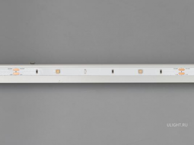 Лента RT-G12-8mm 24V UVC270 (2.9 W/m, IP20, 3737, 5m) (Arlight, -) фото:10