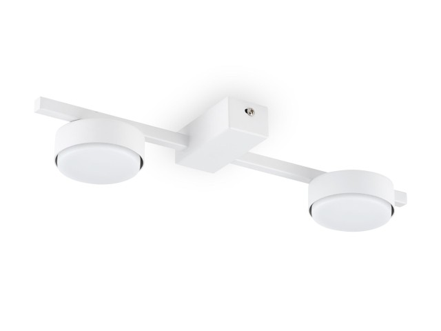 Потолочный светильник Freya FR5363CL-02W фото:1