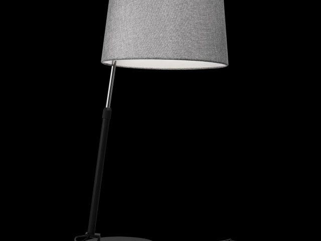 Настольный светильник Maytoni MOD613TL-01B фото:1