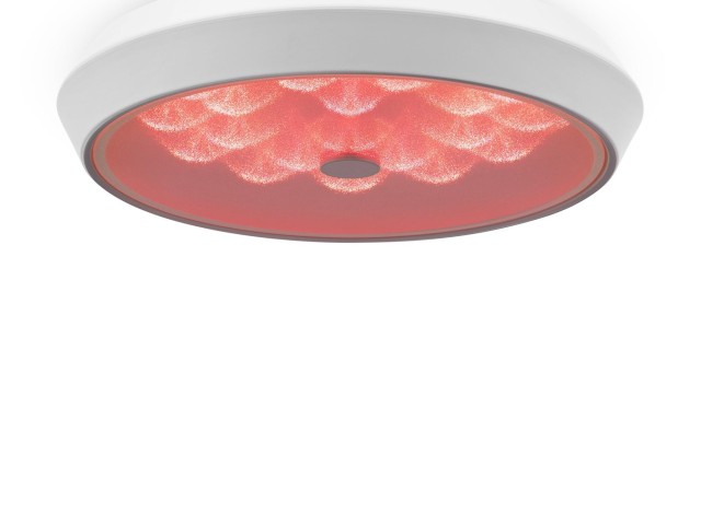 Потолочный светильник Freya FR10012CL-L24W фото:4