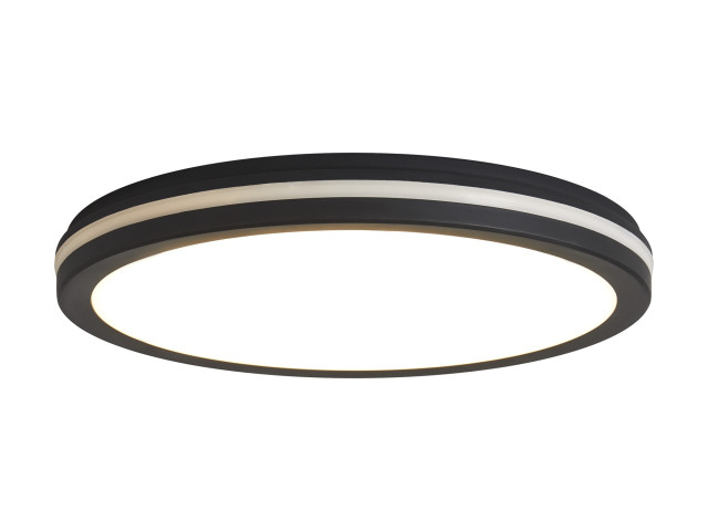 Потолочный светильник Freya FR6160CL-L40B фото:1
