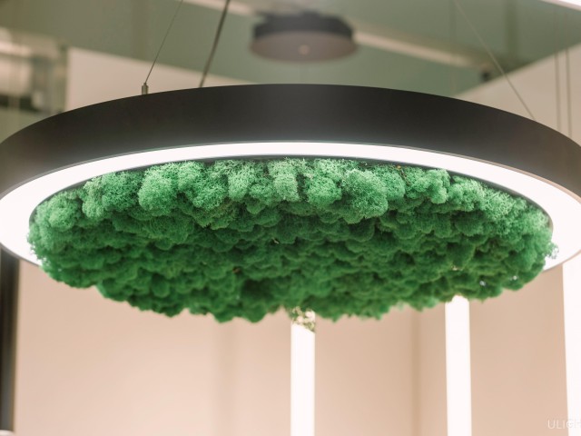 Светильник HOKASU Halo Moss (RAL9003/D1250/LT70 — 3K/118W/120deg) фото:17