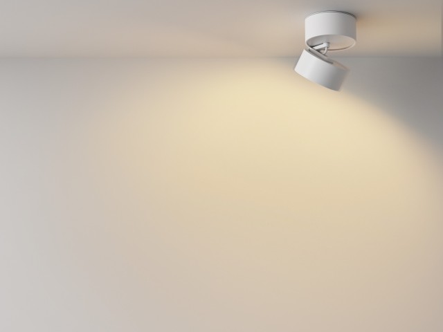 Потолочный светильник Technical C024CL-12W2.7K-W-1 фото:43