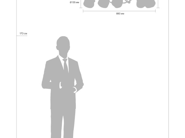 Люстра Freya FR8017PL-10MG фото:5