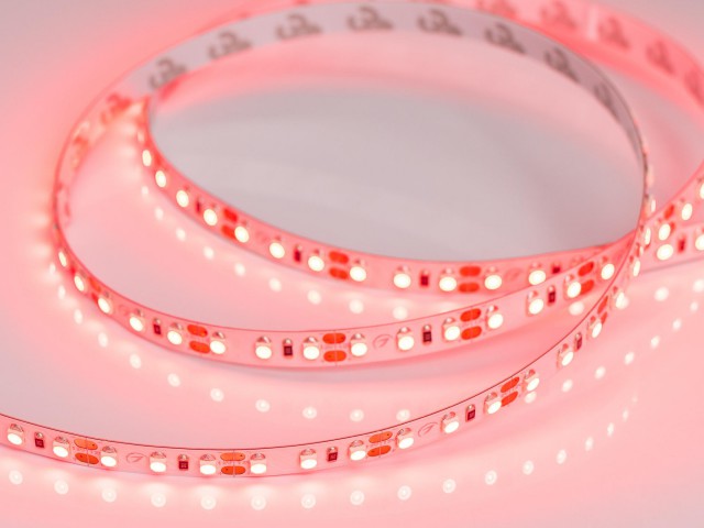 Лента RT 2-5000 12V Red 2x (3528, 600 LED, LUX) (Arlight, 9.6 Вт/м, IP20) фото:9