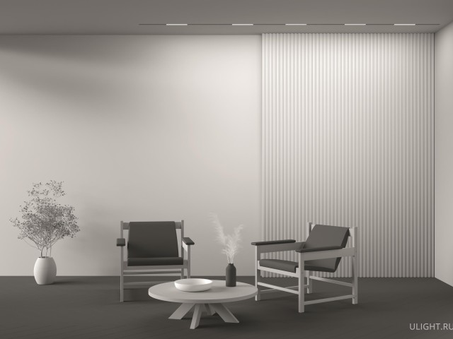 Трековый светильник Technical TR106-2-12W3K-B фото:11