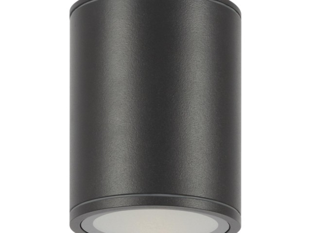 Потолочный светильник Outdoor O306CL-L12GF фото:3