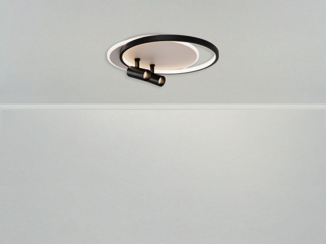 Потолочный светильник Freya FR6083CL-L106WB фото:3