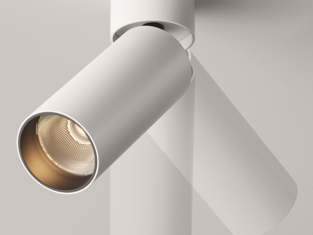 Потолочный светильник Technical C055CL-L12W3K-W-D-W фото:1