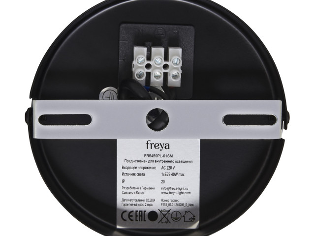 Подвесной светильник Freya FR5459PL-01SM фото:1