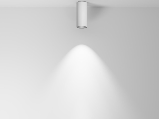 Потолочный светильник Technical C056CL-L12W4K-W-D-W фото:15