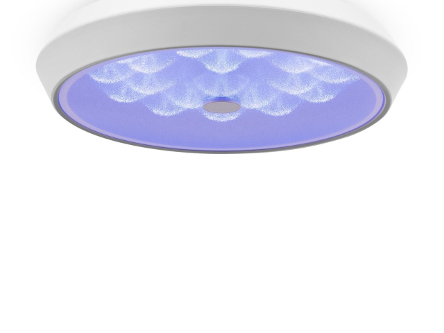 Потолочный светильник Freya FR10012CL-L24W фото:13