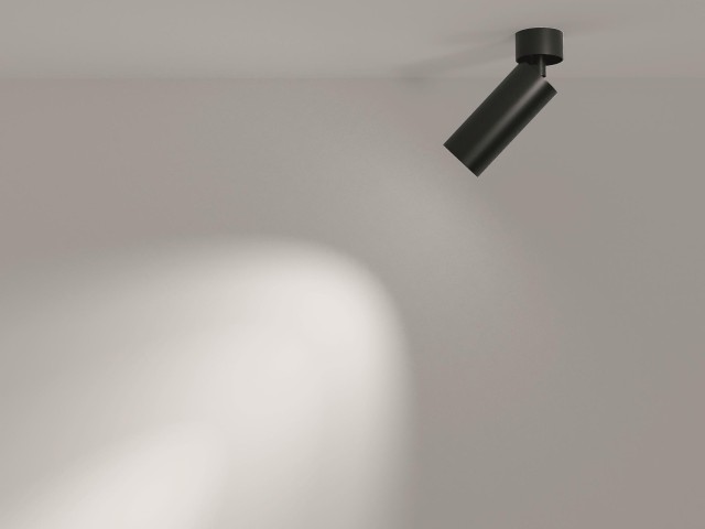 Потолочный светильник Technical C055CL-L12B4K-W-B фото:13