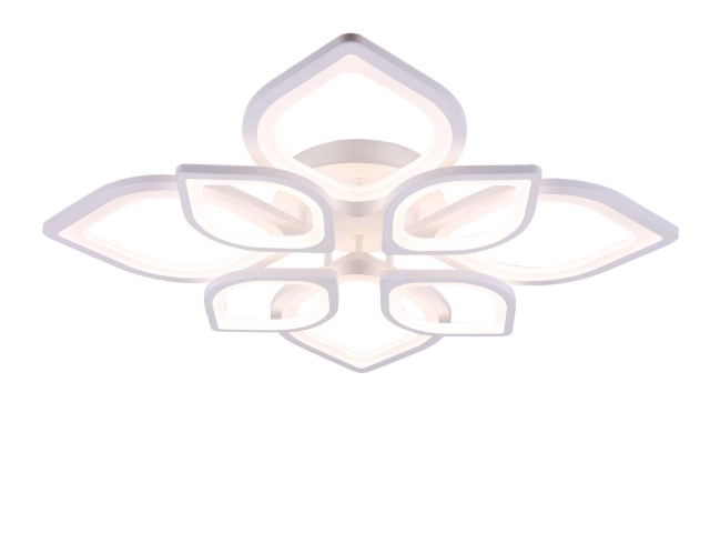 Потолочный светильник Freya FR6015CL-L84W фото:8