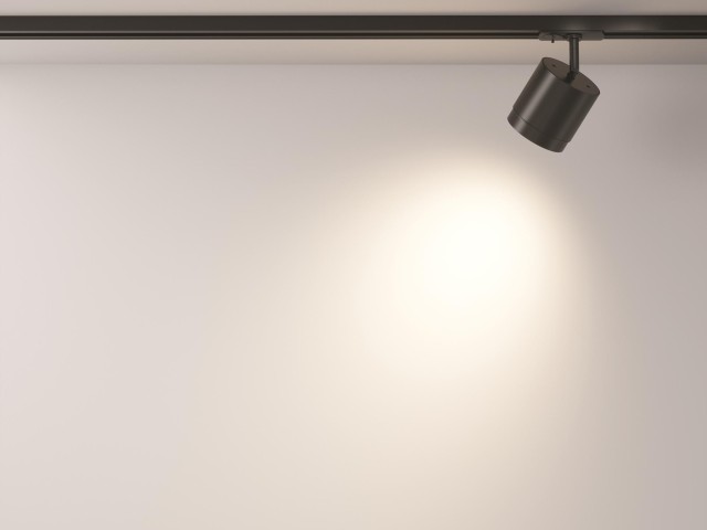 Трековый светильник Technical TR088-1-GX53-B фото:3