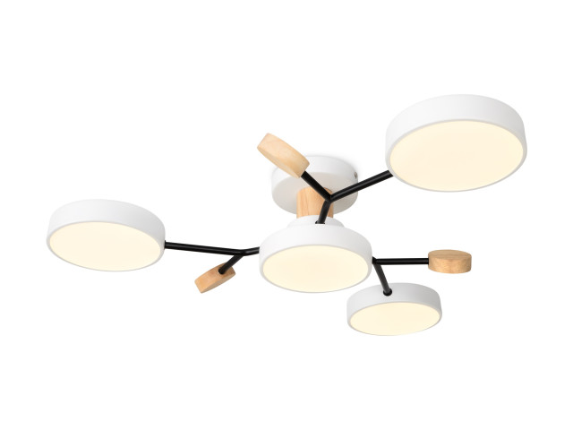 Потолочный светильник Freya FR6119CL-L48W фото:6