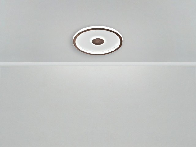 Потолочный светильник Freya FR5421CL-L80BR фото:2