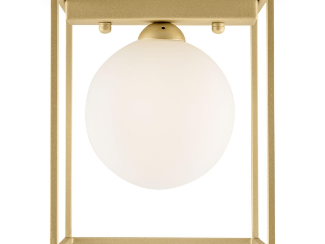Потолочный светильник Freya FR5113CL-01G фото:4