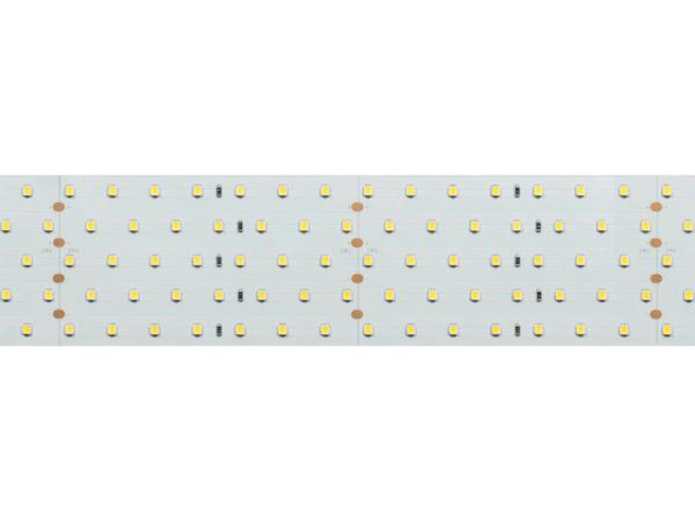 Лента RT 2-2500 24V Cool 8K 5x2 (2835, 875 LED, LUX) (Arlight, 36 Вт/м, IP20) фото:10