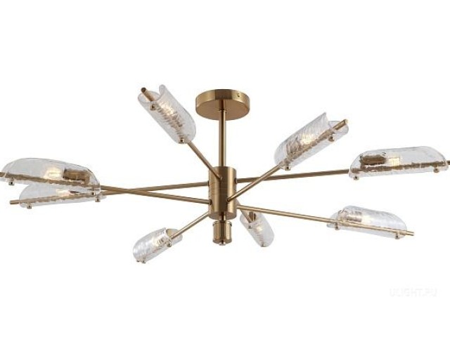 Потолочный светильник Freya FR5420CL-08BS фото:6