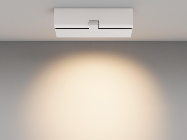 Потолочный светильник Technical C136CL-12W3K-W фото:5