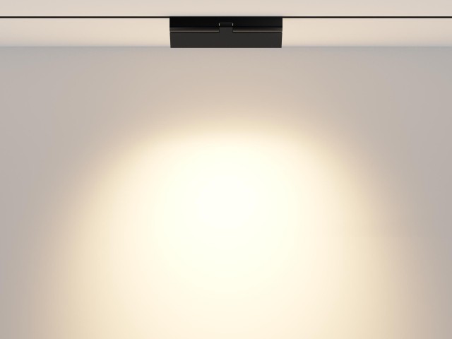 Трековый светильник Technical TR033-2-12W3K-B фото:4