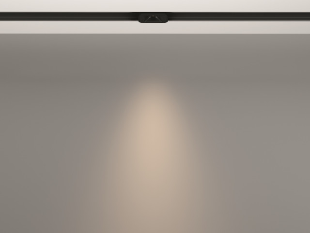 Трековый светильник Technical TR100-2-2W4K-S-B фото:10