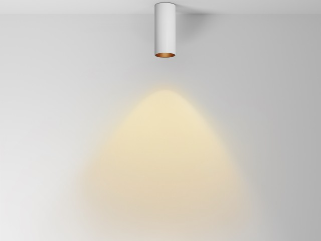 Потолочный светильник Technical C056CL-L12W2.7K-W-W фото:54