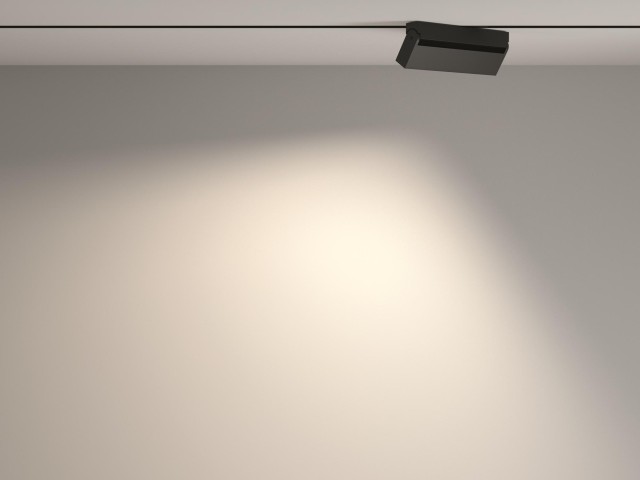 Трековый светильник Technical TR077-2-20W4K-B фото:4