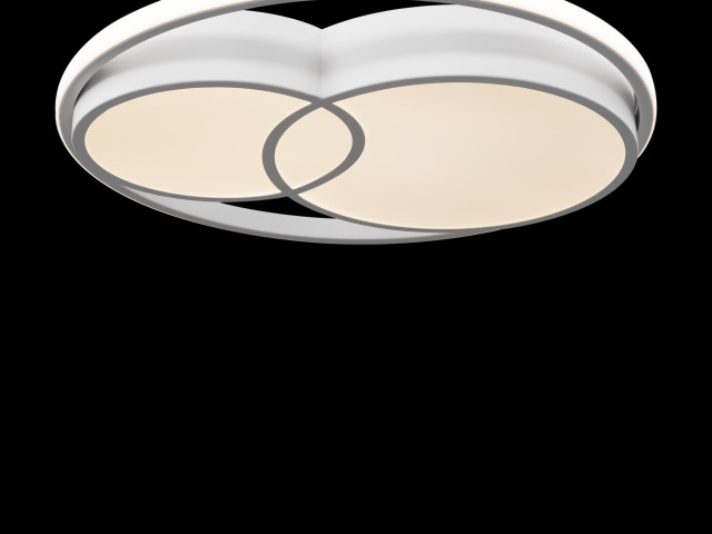 Потолочный светильник Freya FR10029CL-L70W фото:6