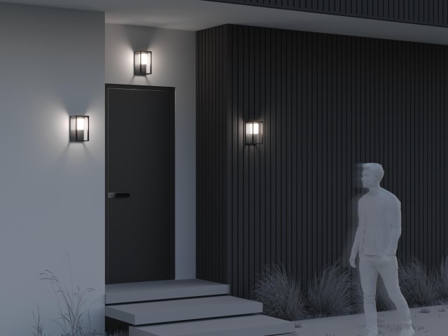Настенный светильник (бра) Outdoor OSL457WL-L2GF3K фото:3