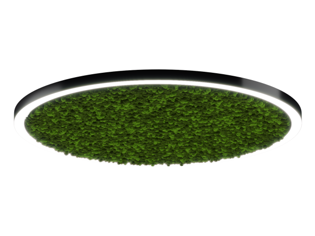 Светильник HOKASU Halo Moss (RAL9005/D2000/LT70 — 4K/188W/120deg) фото:1