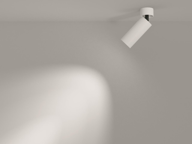 Потолочный светильник Technical C055CL-L12W3K-W-W фото:16