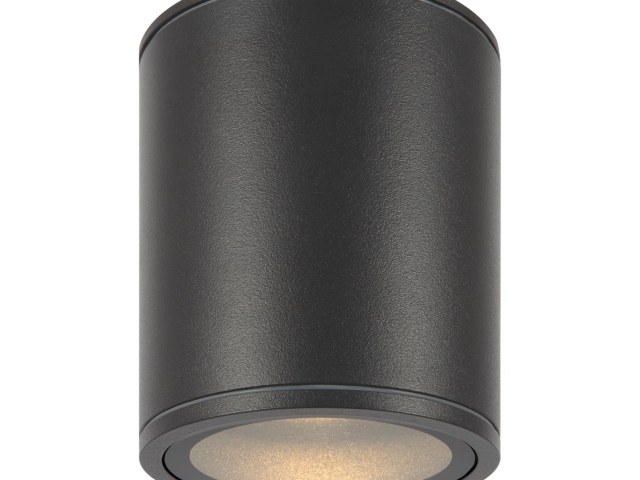 Потолочный светильник Outdoor O306CL-L12GF фото:16