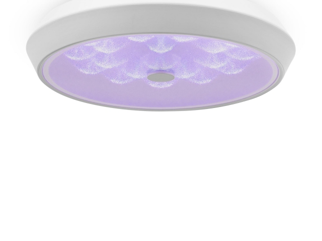 Потолочный светильник Freya FR10012CL-L24W фото:14