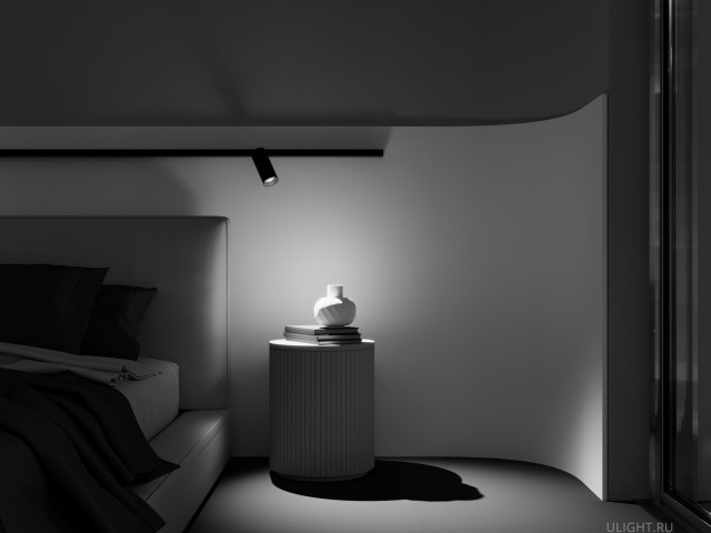 Трековый светильник Technical TR032-2-20W2.7K-M-B фото:9