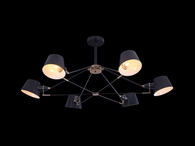 Люстра Freya FR5038-CL-06-B фото:4