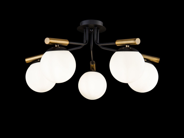 Потолочный светильник Freya FR5011CL-05B фото:1