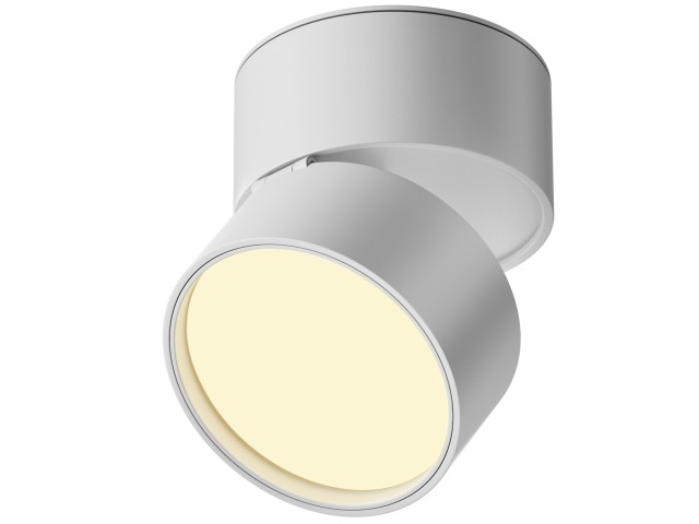 Потолочный светильник Technical C024CL-12W2.7K-W-1 фото:49