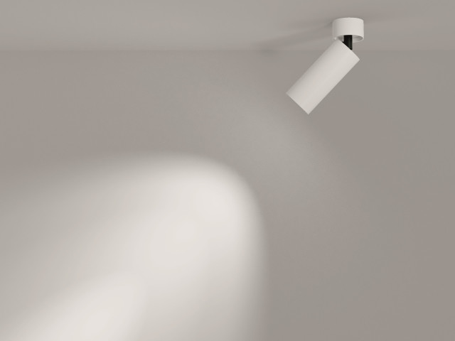 Потолочный светильник Technical C055CL-L12W3K-W-D-W фото:2
