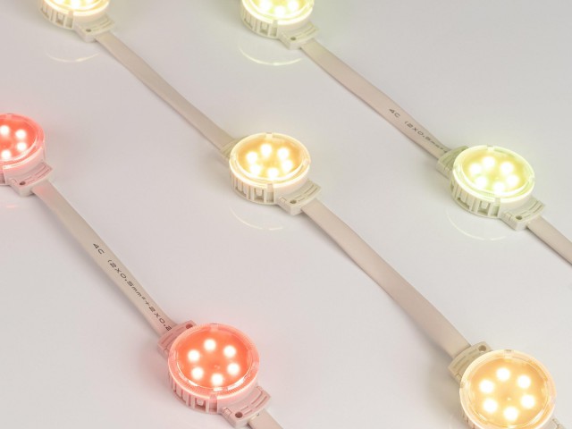 Модуль управляемый SPI-F6-D40 24V RGB-RAM-Auto (1.25W, IP68, 120 deg) (Arlight, Пластик, 3 года) фото:12