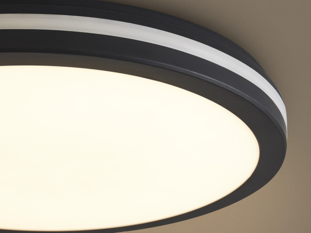 Потолочный светильник Freya FR6160CL-L40B фото:3